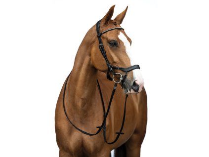 12399 9100 model front 1 68699