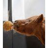 Pochoutka Likit Granola Ball 1,6 kg