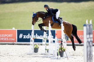 CHARMED LADY🤎 CHICO’S BOY × LADY ELIZABETH (EIBISCH II) Rider: @anna_marie_kovarova Trainer: @d_simovski Photo:...