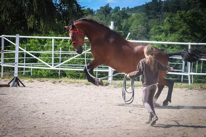 Ovlivňuje zdaví střev chování a náladu?