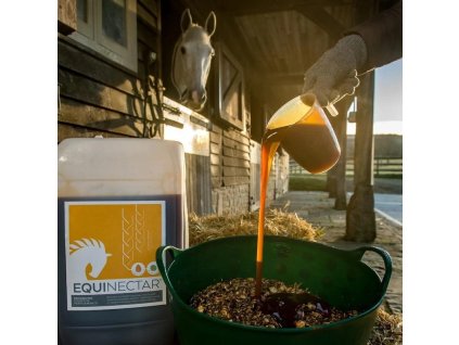 Improve your horse s microbiome 78003d78 4235 409b af7f 3ce312a4d5a6 1310x crop center