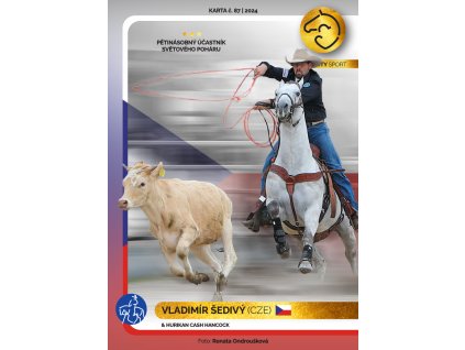 87 Vladimir Sedivy 2025 1