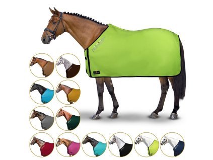 vyr 1919 0479595 horses basic new