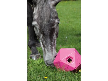 1819 balon na krmivo proti zlozvykum fialovy shires