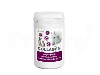 Collagen 1