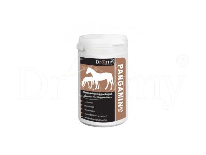 pangamin 2000tl