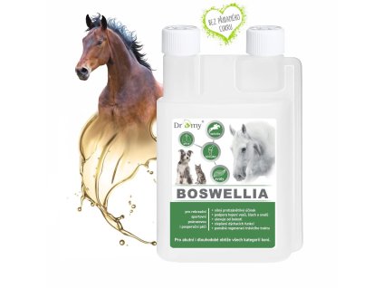 Boswellia Serrata 1000ml