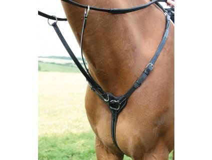 Poprsník tříbodový Salisbury černý Shires