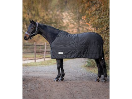 Spodní thermo deka Economic Clip In system 100g černá Waldahusen