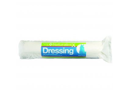 NaturalintX Dressing