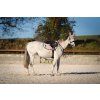 Luxury Saddle Pad and Ear Bonnet Set – Dusty Pink, Full