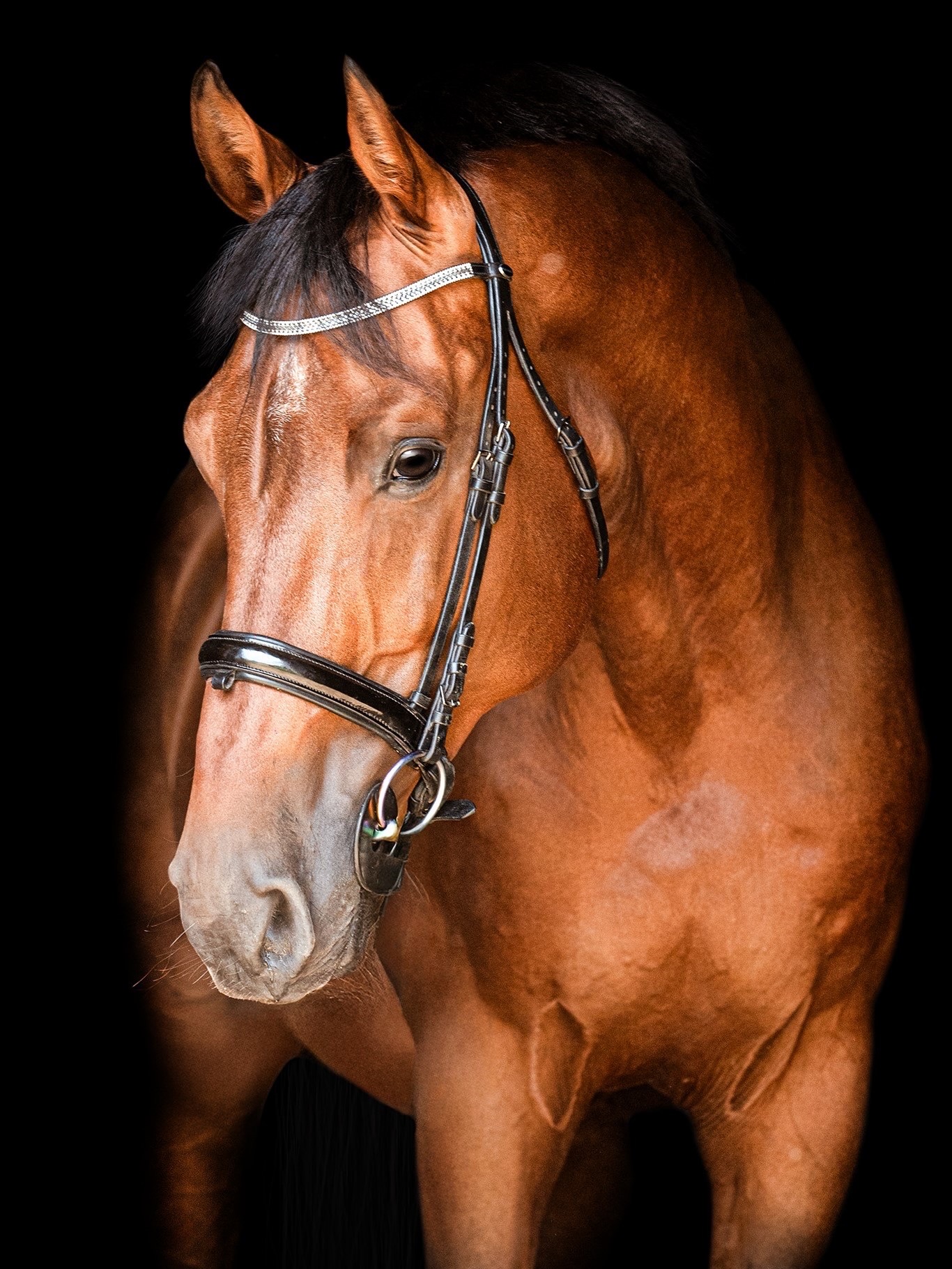 Jezdecké oblečení