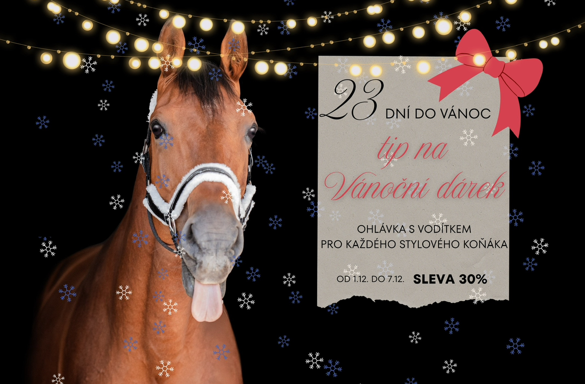 Jezdecké oblečení