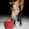 Lékárnička pro koně Equistre