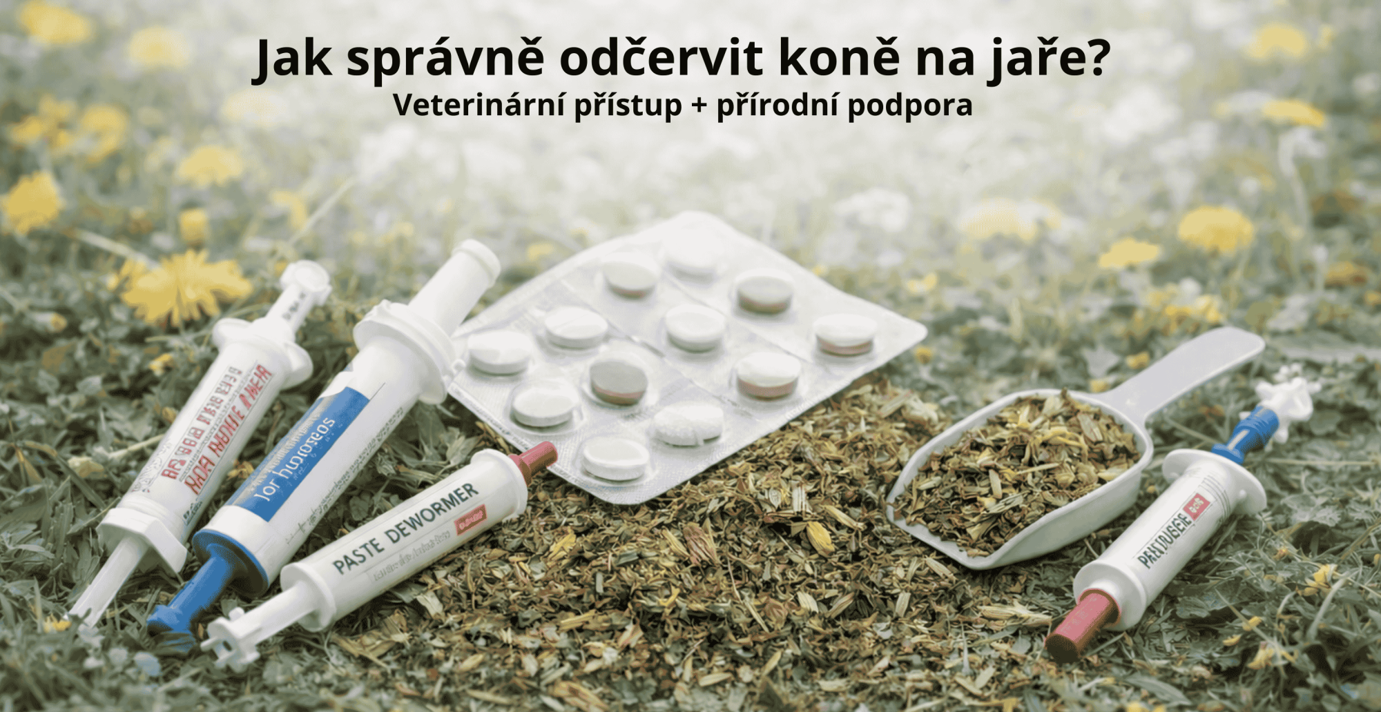 🌸 Jarní odčervení koní – kompletní průvodce
