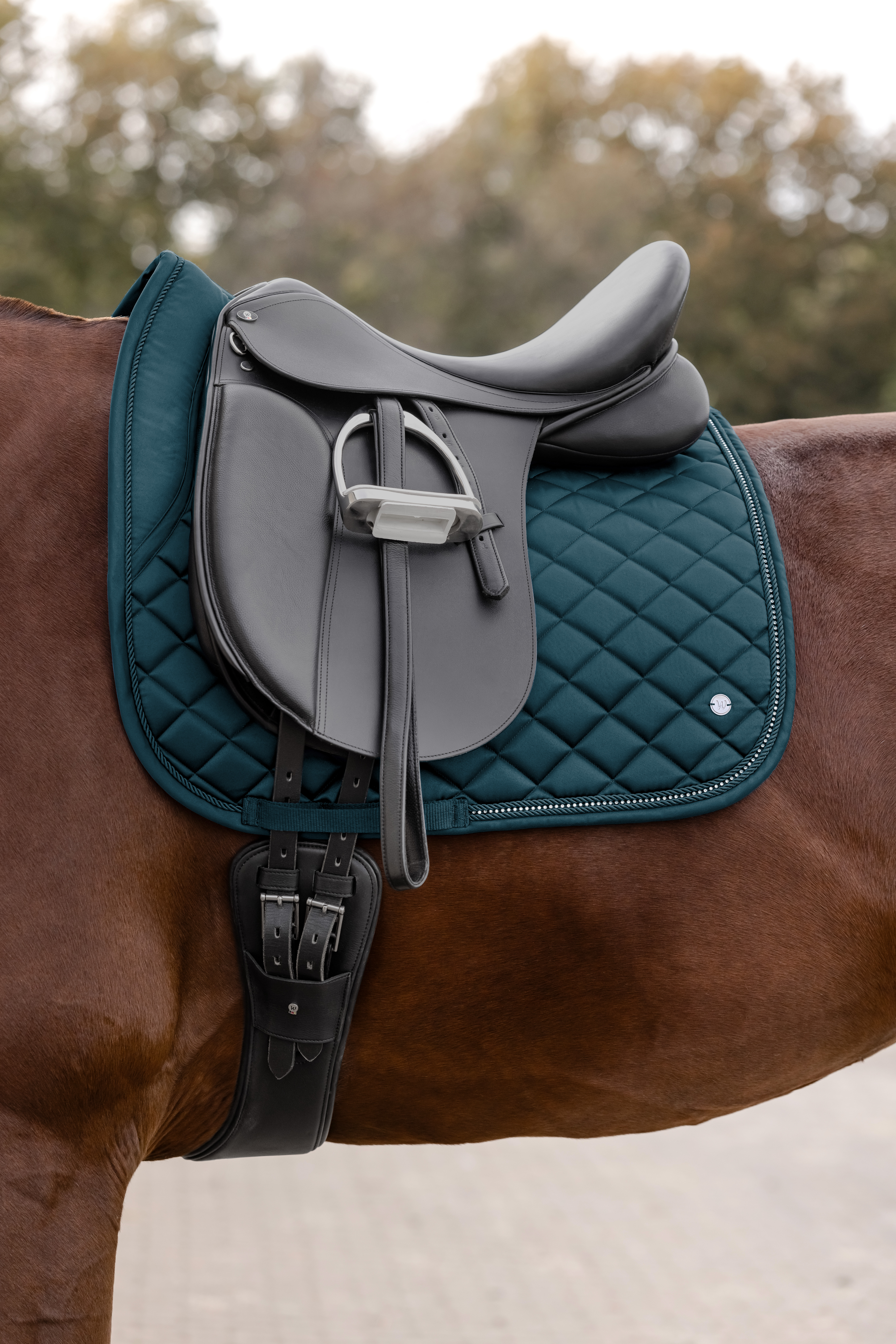 1118636_Schabracke_Nepal_Pferd_4420