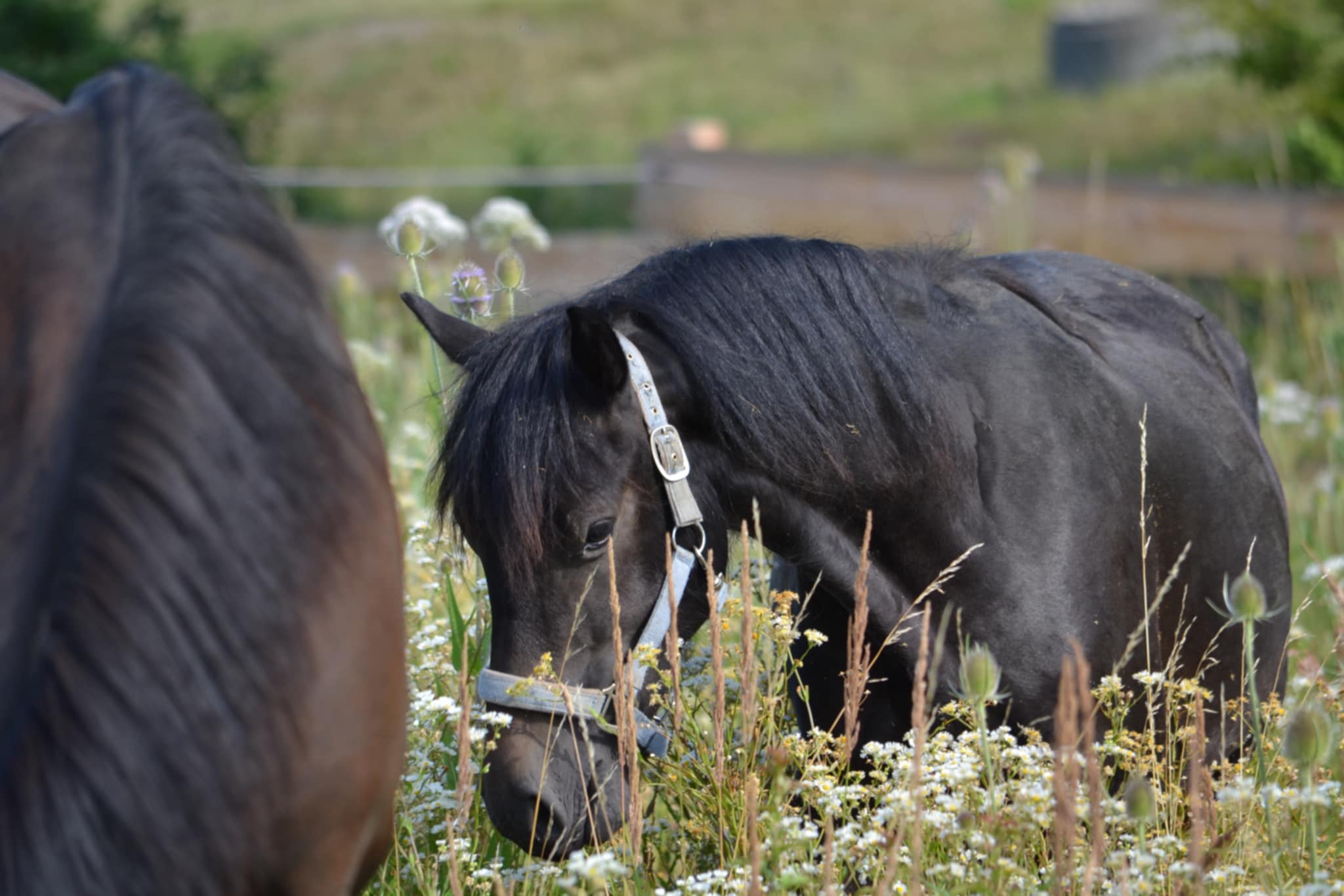 a7ba0d6b-e3f6-4610-9b81-365af13f22b7