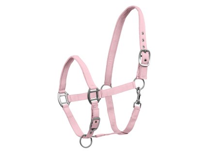 502532 PON 10 1920x1920