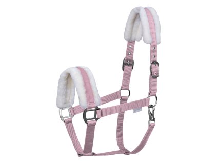 5051498 PON 23 800x800