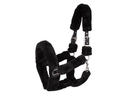 5049701 PON 10 800x800