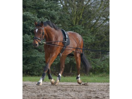 8104701 1 0 1920x1920