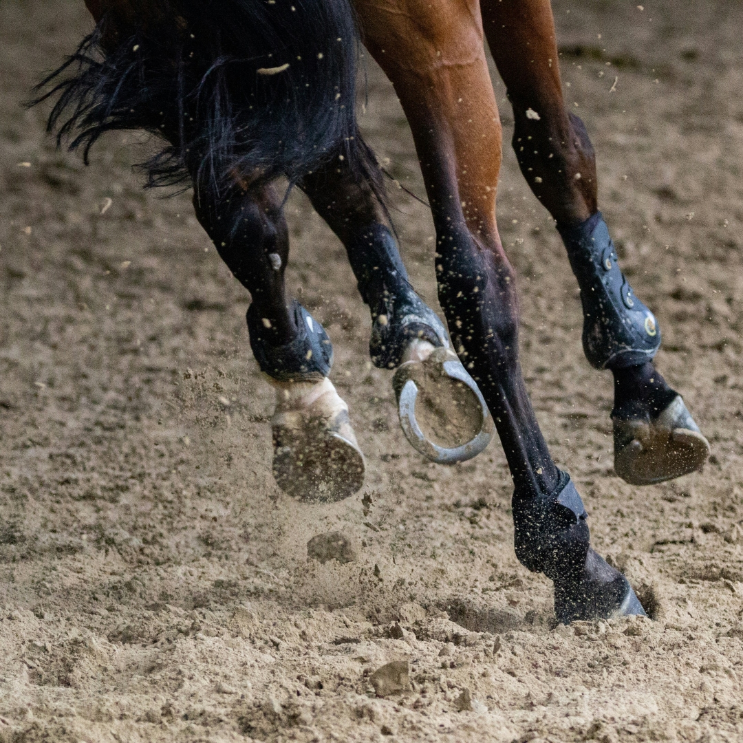 Zdravé kĺby po celý rok – tipy na udržanie pohyblivosti v zime