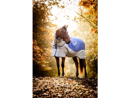 VÝBEHOVÁ DEKA AUTUMN SERIES 0 G SO 100 G VLOŽKOU RAMBO