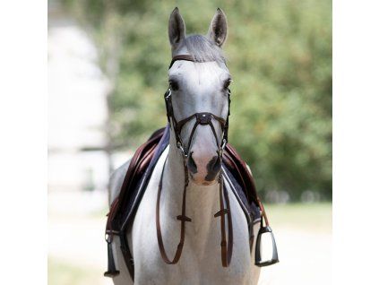 Uzdečka s mexickým nánosníkom Antarés