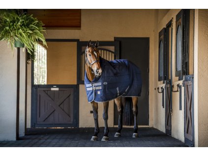 ABBV82 BJD0 ABBABV BJD0 Rhino Stable 250g 350g VL (1)