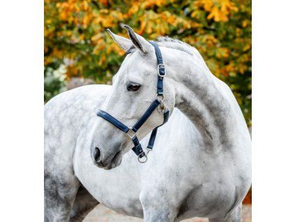 Ohlávka Grooming Horseware
