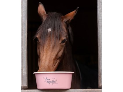 Plastová miska na musli s vrchnákom 5 L Waldhausen