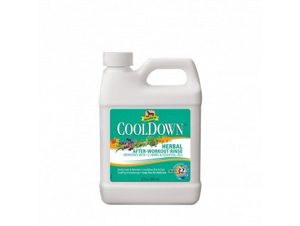 400 964fae32 absorbine cooldown