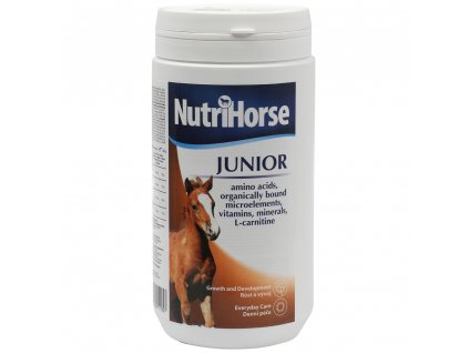 junior