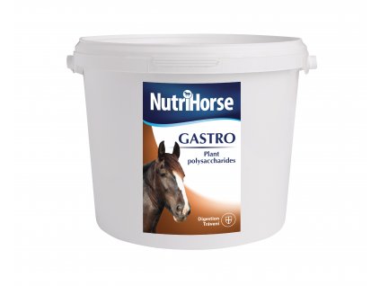 Gastro
