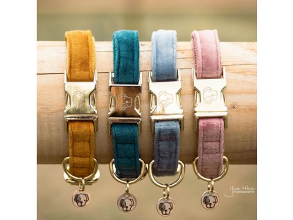 kentucky dogwear dog collars leads dog collar velvet 1 a929523bbdd099ba1a676b6771a9e673 article photobook m