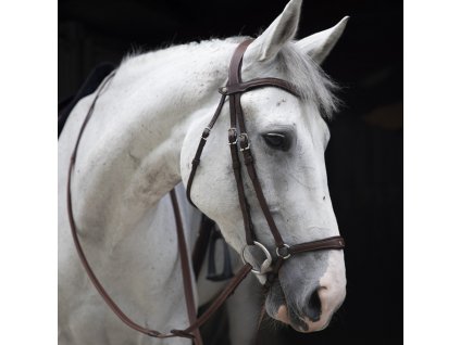 origin drop noseband bridle