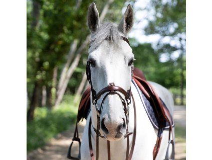 grained flash noseband bridle with reins