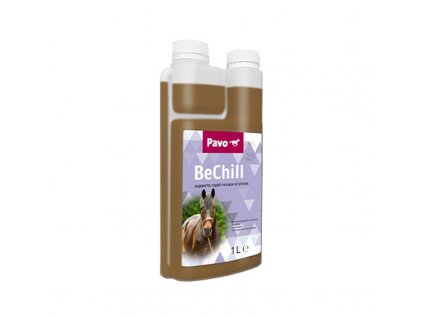 Pavo BeChill Flasche