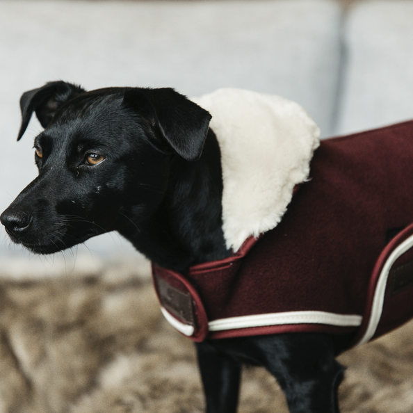 KENTUCKY PROFESIONAL HORSEWEAR PROTECTION KENTUCKY DOG COAT HEAVY FLEECE BORDEAUX