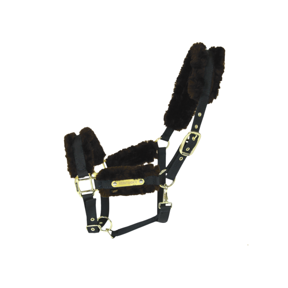 KENTUCKY PROFESIONAL HORSEWEAR PROTECTION KENTUCKY NYLON SHEEPSKIN HALTER FULL Farba: Brown, Veľkosť: Full