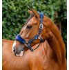 Ohlávka Signature Horseware