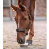 Liz pre kone v miske Waldhausen s bylinkami