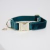 kentucky dogwear dog collars leads dog collar velvet emerald a929523bbdd099ba1a676b6771a9e673 article photobook m