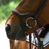 precision y noseband bridle (2)