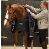 Poddeka 100g HORSEWARE