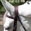 grained flash noseband bridle with reins (2)