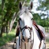 grained flash noseband bridle with reins