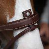 Origin anatomic flash noseband bridle (2)