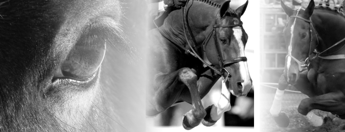 Banner1