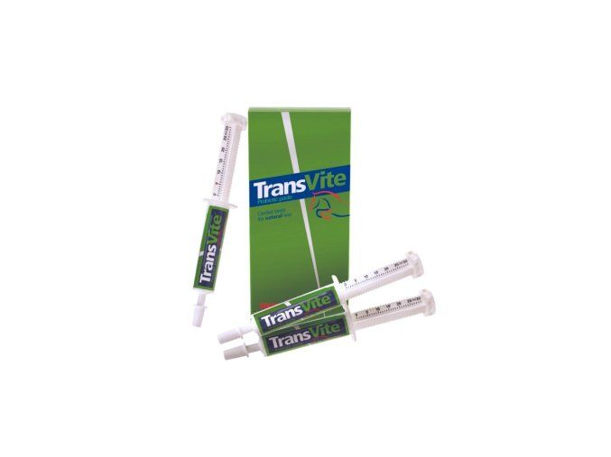 Transvite Excel Paste